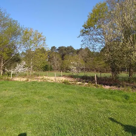 Elevage Du Plec Alojamento de Acomodação e Pequeno-almoço