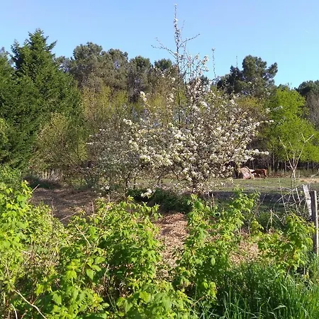 Elevage Du Plec Salaunes