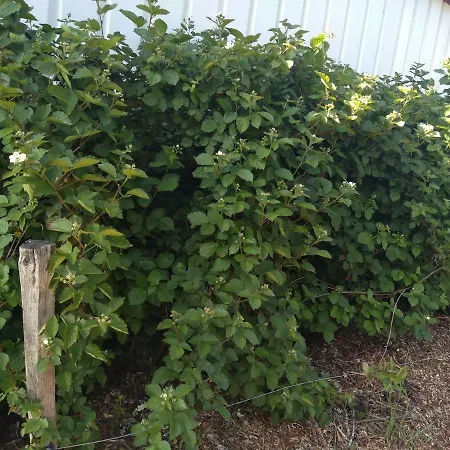 Elevage Du Plec Alojamento de Acomodação e Pequeno-almoço *