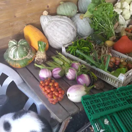 Alojamento de Acomodação e Pequeno-almoço Elevage Du Plec *