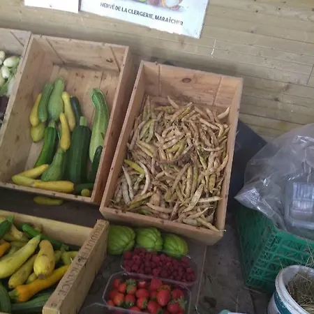 Alojamento de Acomodação e Pequeno-almoço Elevage Du Plec Salaunes