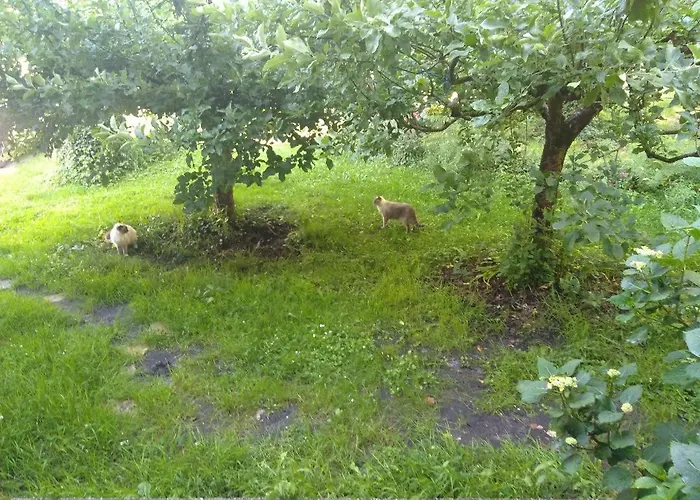 Elevage Du Plec B&B *