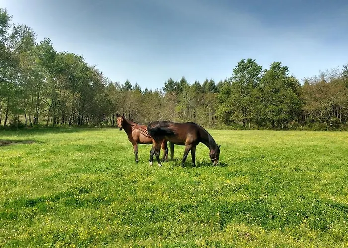 Elevage Du Plec Salaunes