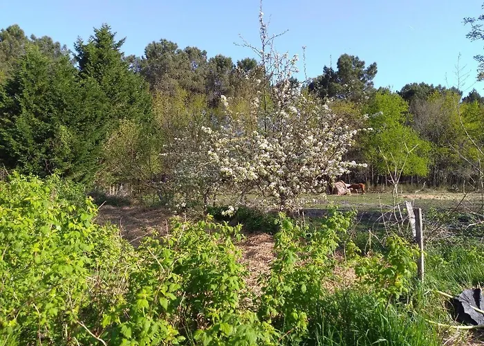 Elevage Du Plec Salaunes