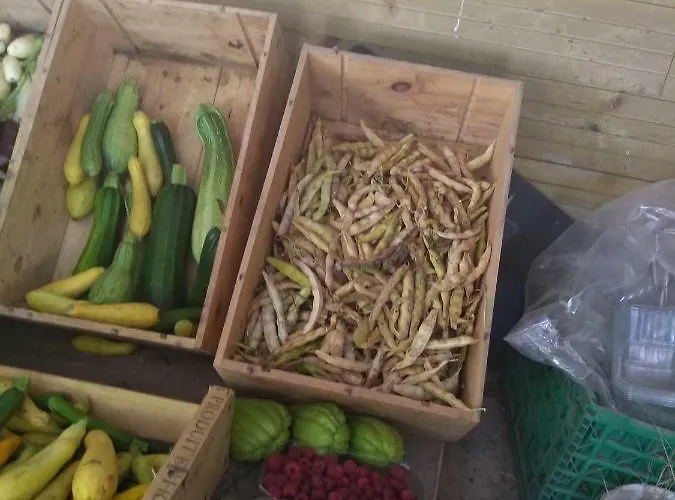 B&B Elevage Du Plec Salaunes